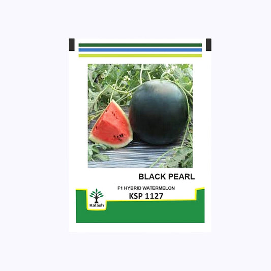 KPS 1127 Black Pearl Watermelon Seeds - Kalash | F1 Hybrid | Buy Online at Best Price