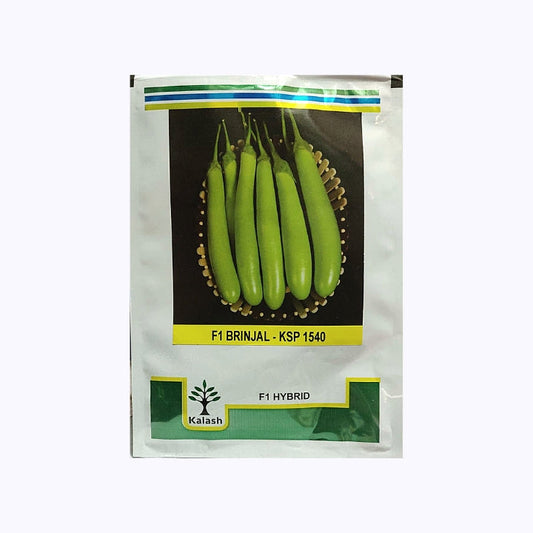 KPS 1540 Brinjal Seeds - Kalash | F1 Hybrid | Buy Online at Best Price