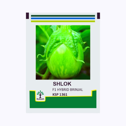 KSP-1361 Shlok Brinjal Seeds - Kalash | F1 Hybrid | Buy Online at Best Price