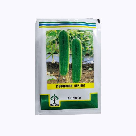 KSP-1664 Miracle Cucumber Seeds - Kalash | F1 Hybrid | Buy Online at Best Price