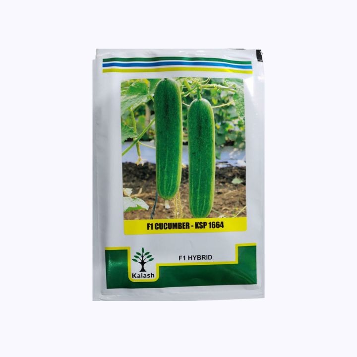 Kalash Cucumber Seeds | Buy Online at Best price in India - DesiKheti ...