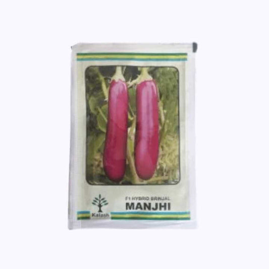 Manjhi Brinjal Seeds - Kalash | F1 Hybrid | Buy Online at Best Price