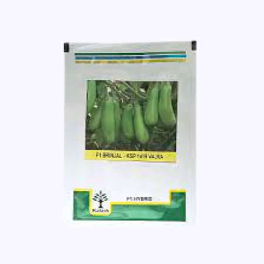Kalash Vajra (KSP 1419) F1 Hybrid Brinjal Seeds - 10 gm | Buy Online At Best Price