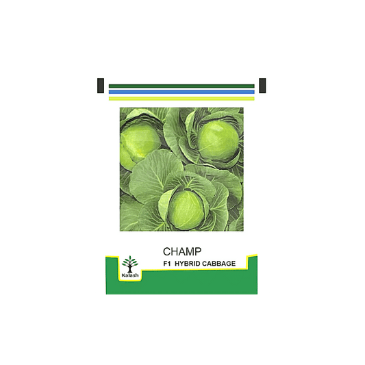 Champ Cabbage Seeds - Kalash | F1 Hybrid | Buy Online at Best Price