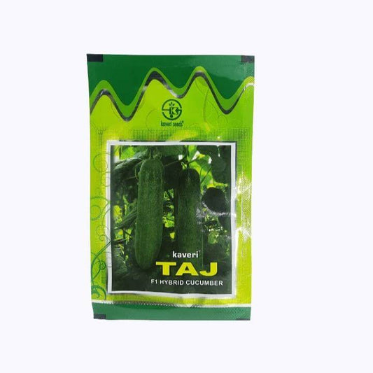 Kaveri Taj Cucumber Seeds | F1 Hybrid | Buy Online at Best Price