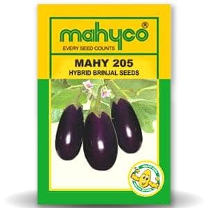 MAHY 205 Brinjal Seeds - Mahyco | F1 Hybrid | Buy Online at Best Price