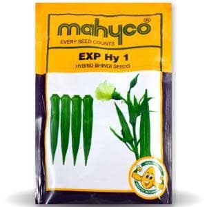 EXP Hy 1 Bhindi Seeds - Mahyco | F1 Hybrid | Buy Online at Best Price