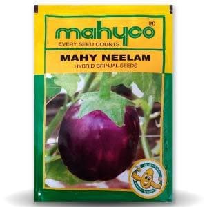 MAHY NEELAM Brinjal Seeds - Mahyco | F1 Hybrid | Buy Online at Best Price