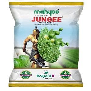 JUNGEE Cotton seeds - Mahyco | F1 Hybrid | Buy Online at Best Price