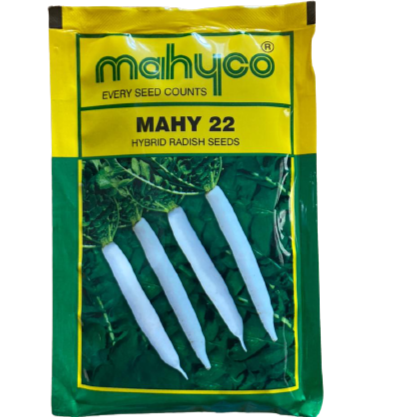 MAHY 22 Radish Seeds - Mahyco | F1 Hybrid | Buy Online at Best Price