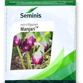 Manjari Brinjal Seeds | Buy Online At Best Price