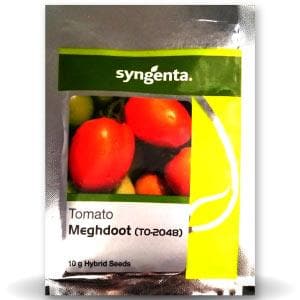 Meghdoot (TO-2048) Tomato Seeds - Syngenta | F1 Hybrid | Buy Online at Best Price