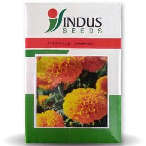 Missile Orange Marigold Seeds - Indus | F1 Hybrid | Buy Online at Best Price