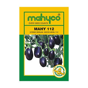 MAHY 112 Brinjal Seeds - Mahyco | F1 Hybrid | Buy Online at Best Price