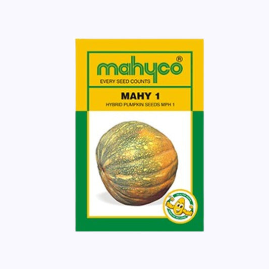MAHY 1 Pumpkin Seeds - Mahyco | F1 Hybrid | Buy Online at Best Price