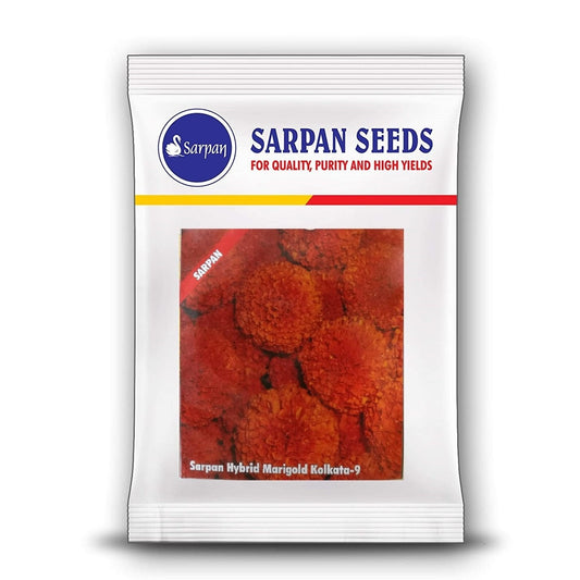 Sarpan Kolkata Marigold Seeds| F1 Hybrid | Buy Online at Best Price