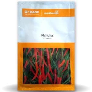Nandita Chilli Seeds - Nunhems | F1 Hybrid | Buy Online at Best Price