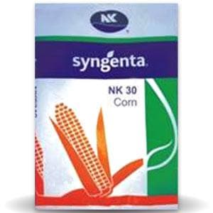 NK 30 Maize Seeds - Syngenta | F1 Hybrid | Buy Online at Best Price