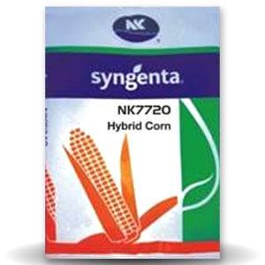 NK 7720 Maize Seeds - Syngenta | F1 Hybrid | Buy Online at Best Price