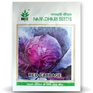 Chinese Red Cabbage Seeds - Namdhari | F1 Hybrid | Buy Online at Best Price