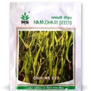 product-imageNS 227 Chilli Seeds - Namdhari | F1 Hybrid | Buy Online at Best Price