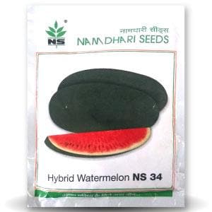 NS 34 Watermelon Seeds - Namdhari | F1 Hybrid | Buy Online at Best Price