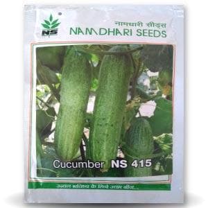 NS 415 Cucumber Seeds - Namdhari | F1 Hybrid | Buy Online at Best Price