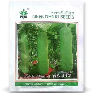 NS 443 Bottle Gourd Seeds - Namdhari | F1 Hybrid | Buy Online at Best Price
