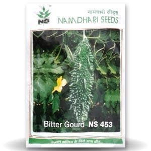 NS 453 Bitter Gourd Seeds - Namdhari | F1 Hybrid | Buy Online at Best Price