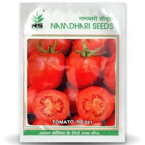 NS 521 Tomato Seeds - Namdhari | F1 Hybrid | Buy Online at Best Price