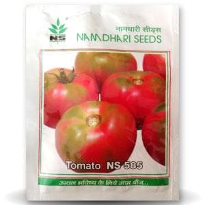 NS 585 Tomato Seeds - Namdhari | F1 Hybrid | Buy Online at Best Price