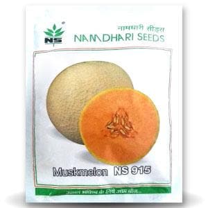 NS 915 Muskmelon Seeds - Namdhari | F1 Hybrid | Buy Online at Best Price