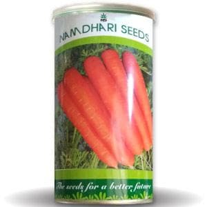 NS 9905 F1 Carrot Seeds - Namdhari | F1 Hybrid | Buy Online at Best Price