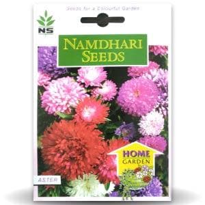 Namdhari Aster Dwarf Mix Seeds | F1 Hybrid | Buy Online at Best Price