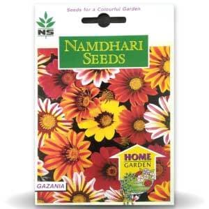 NS Gazania Kiss Frosty Mix Seeds - Namdhari | F1 Hybrid | Buy Online at Best Price