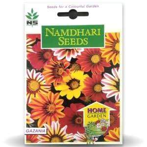 NS Gazania Sunshine Mix Seeds - Namdhari | F1 Hybrid | Buy Online at Best Price