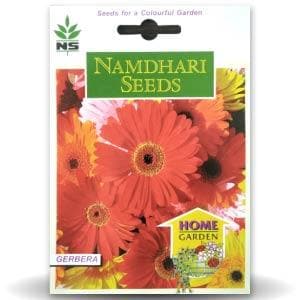 NS Gerbera Mix Seeds - Namdhari | F1 Hybrid | Buy Online at Best Price