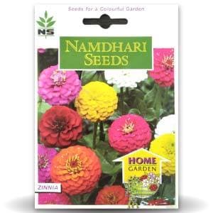 NS Zinnia Super Yoga Mix Seeds - Namdhari | F1 Hybrid | Buy Online at Best Price