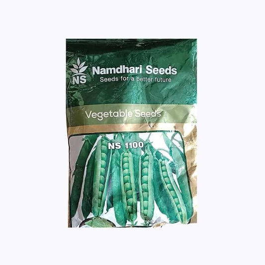 NS 1100 Pea Seeds - Namdhari | F1 Hybrid | Buy Online at Best Price