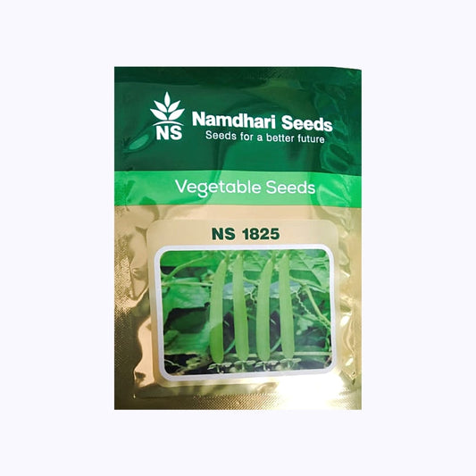 Namdhari NS 1825 Sponge Gourd Seeds | F1 Hybrid | Buy Online at Best Price