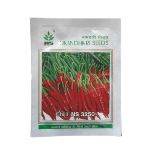 NS 3250 Chilli Seeds - Namdhari | F1 Hybrid | Buy Online at Best Price