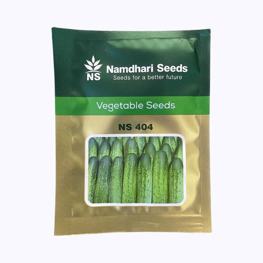 Namdhari NS 404 Cucumber Seeds | F1 Hybrid | Buy Online at Best Price