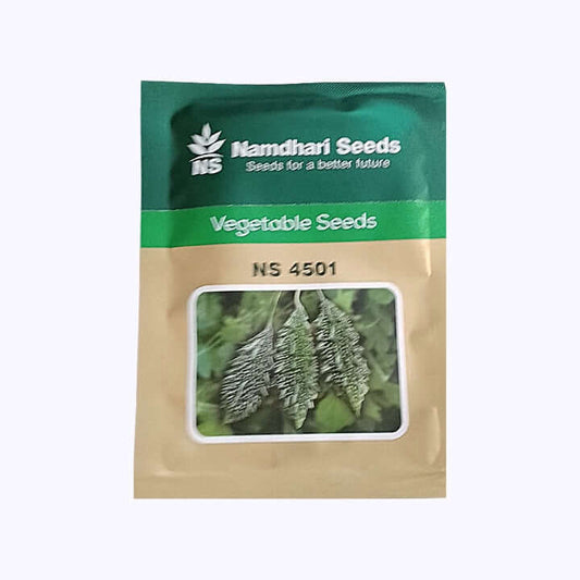 NS 4501 Bitter Gourd Seeds - Namdhari | F1 Hybrid | Buy Online at Best Price