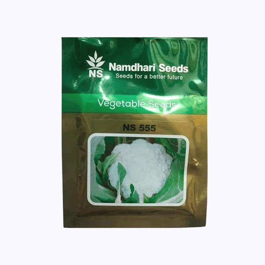 Namdhari NS 555 Cauliflower Seeds | F1 Hybrid | Buy Online at Best Price