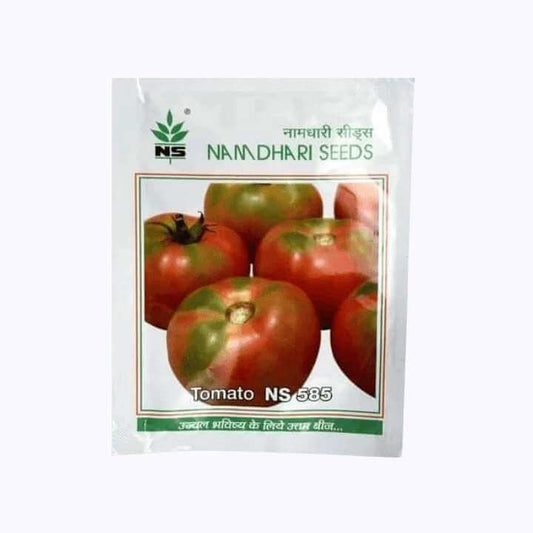 NS-585 Tomato seeds - Namdhari | F1 Hybrid | Buy Online at Best Price
