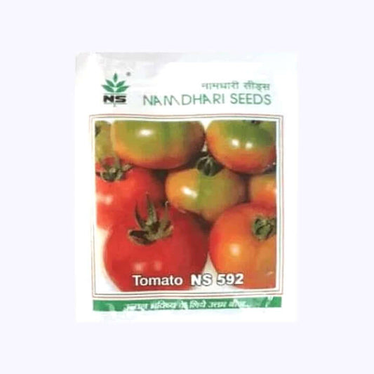 Namdhari NS 592 Tomato Seeds | F1 Hybrid | Buy Online at Best Price