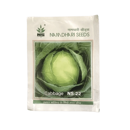 Namdhari NS-22 Cabbage Seeds | F1 Hybrid | Buy Online at Best Price