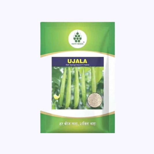 Nath Ujala Sponge Gourd Seeds | F1 Hybrid | Buy Online at Best Price