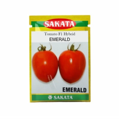 Emerald Tomato Seeds - Sakata | F1 Hybrid | Buy Online at Best Price