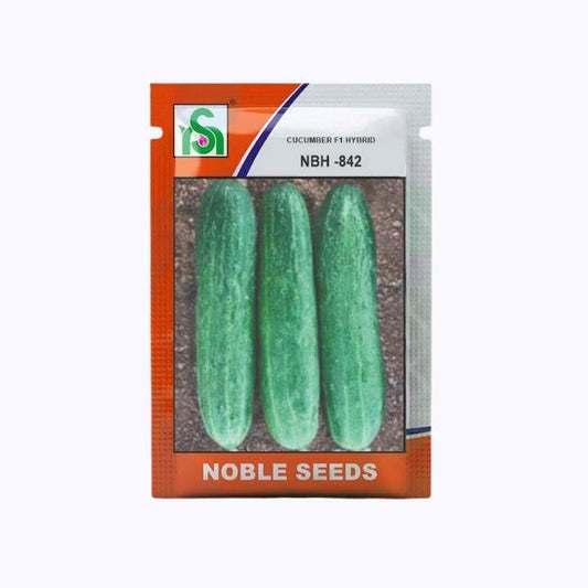 NBH - 842 Cucumber Seeds - Noble | F1 Hybrid | Buy Online at Best Price